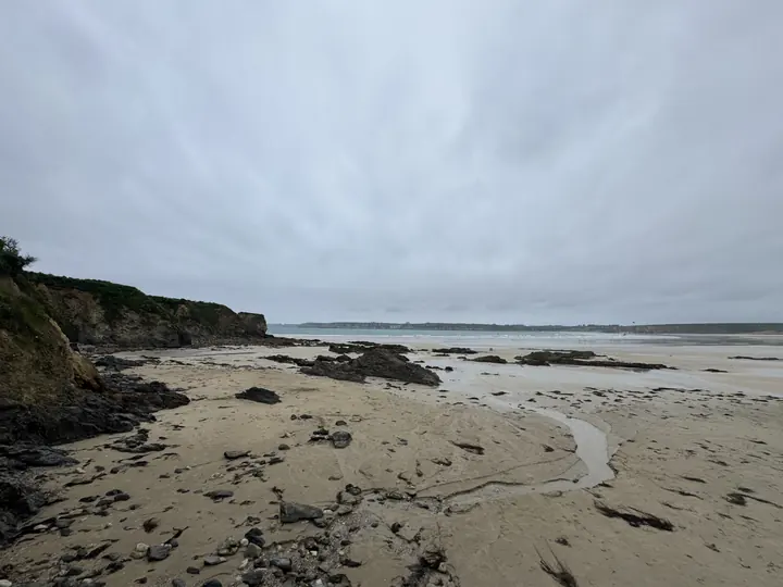 Dunkle Felsen durchbrechen einen hellen Sandstrand unter einer geschlossenen Wolkendecke.