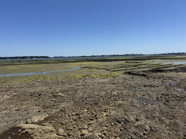 Die Ebbe legt eine weite Küstenfläche frei; darüber spannt sich ein klarer blauer Himmel.