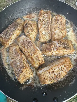Frischer Fisch